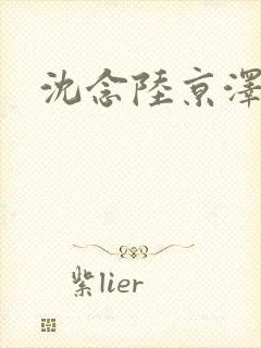 沈念陆京泽全文