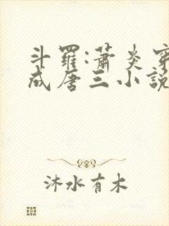 斗罗:萧炎穿越成唐三小说下载txt