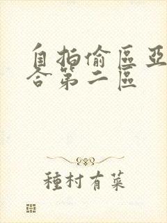 自拍偷区亚洲综合第二区