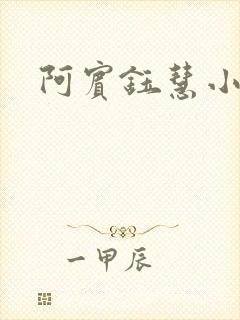 阿宾钰慧小说