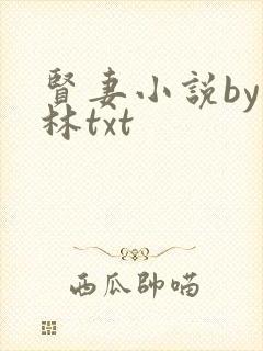 贤妻小说by朽林txt