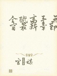 全职高手 无弹窗最新章节