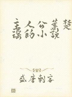 主人公叶楚姜君瑶的小说