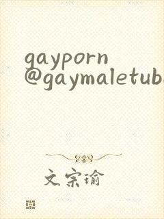 gayporn@gaymaletube封面