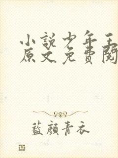 小说少年王王巍原文免费阅读