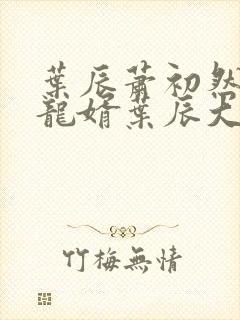 叶辰萧初然上门龙婿叶辰大结局