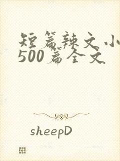 短篇辣文小说集500篇全文