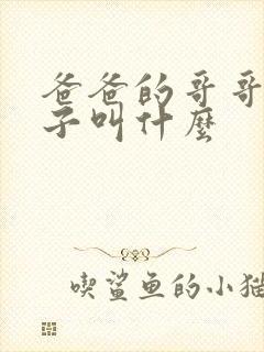 爸爸的哥哥的孩子叫什么