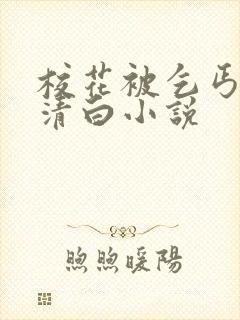 校花被乞丐毁了清白小说