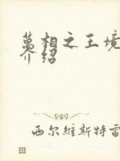 万相之王境界及介绍