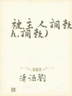被主人调教(高h,调教)