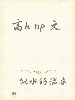 高h np 文