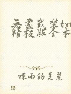无尽武装txt精校版全本