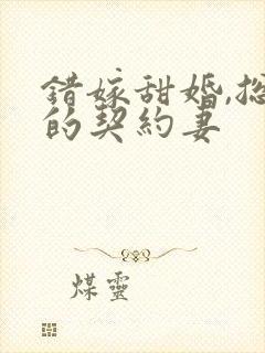 错嫁甜婚,总裁的契约妻