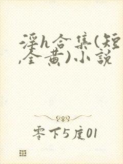 淫h合集(短文,全黄)小说封面