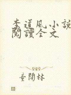李道风小说在线阅读全文