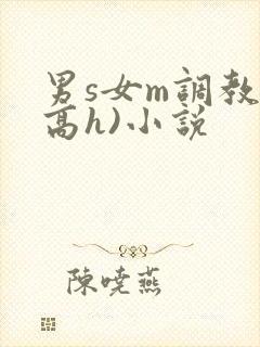 男s女m调教(高h)小说