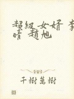 超级女婿 李晴晴 赵旭