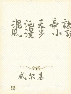 混沌天帝诀 随风漫步 小说