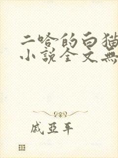二哈的白猫师尊小说全文无删减版免费封面