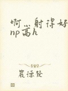 啊…射得好多…np高h封面