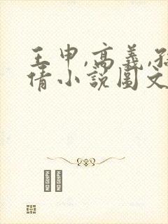 王申,高义,孙倩小说图文在线阅读