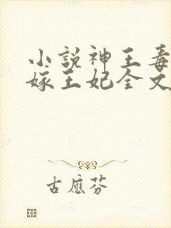 小说神王毒宠二嫁王妃全文
