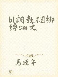 bl调教捆绑束缚sm文封面