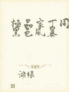 极品家丁同人之黑色风暴