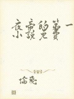 夜帝的第一狂妃小说免费