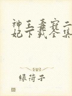 神王毒宠二嫁王妃下载全集txt下载