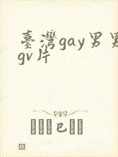 台湾gay男男gv片