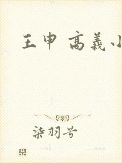 王申 高义小说