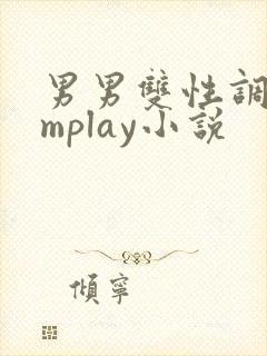 男男双性调教smplay小说