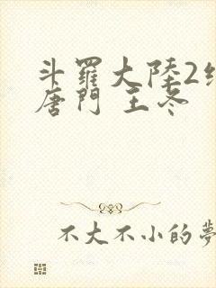 斗罗大陆2绝世唐门 王冬
