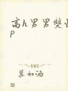 高h男男双性np