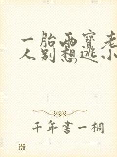 一胎两宝老婆大人别想逃小说