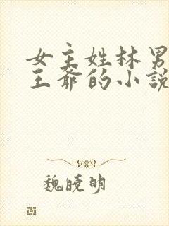 女主姓林男主是王爷的小说