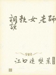 调教女老师h小说封面