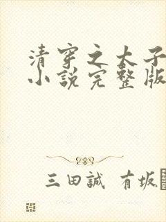 清穿之太子娇妃小说完整版
