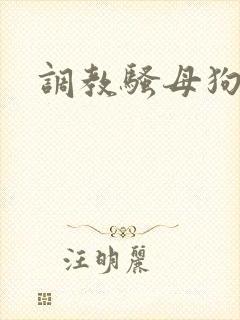 调教骚母狗被艹封面