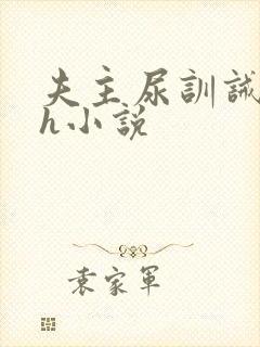 夫主尿训诫束腰h小说封面