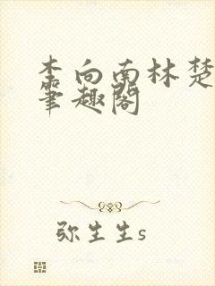 李向南林楚乔新笔趣阁