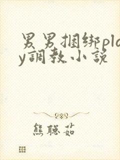 男男捆绑play调教小说
