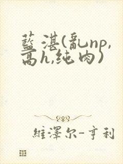 蓝湛(乱np,高h,纯肉)