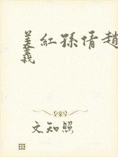 美红孙倩赵振高义