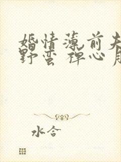 婚情薄,前夫太野蛮 禅心月