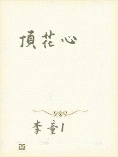 顶花心封面