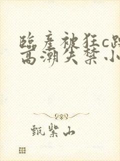 临产被狂c躁到高潮失禁小说封面