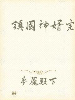 镇国神婿完结篇